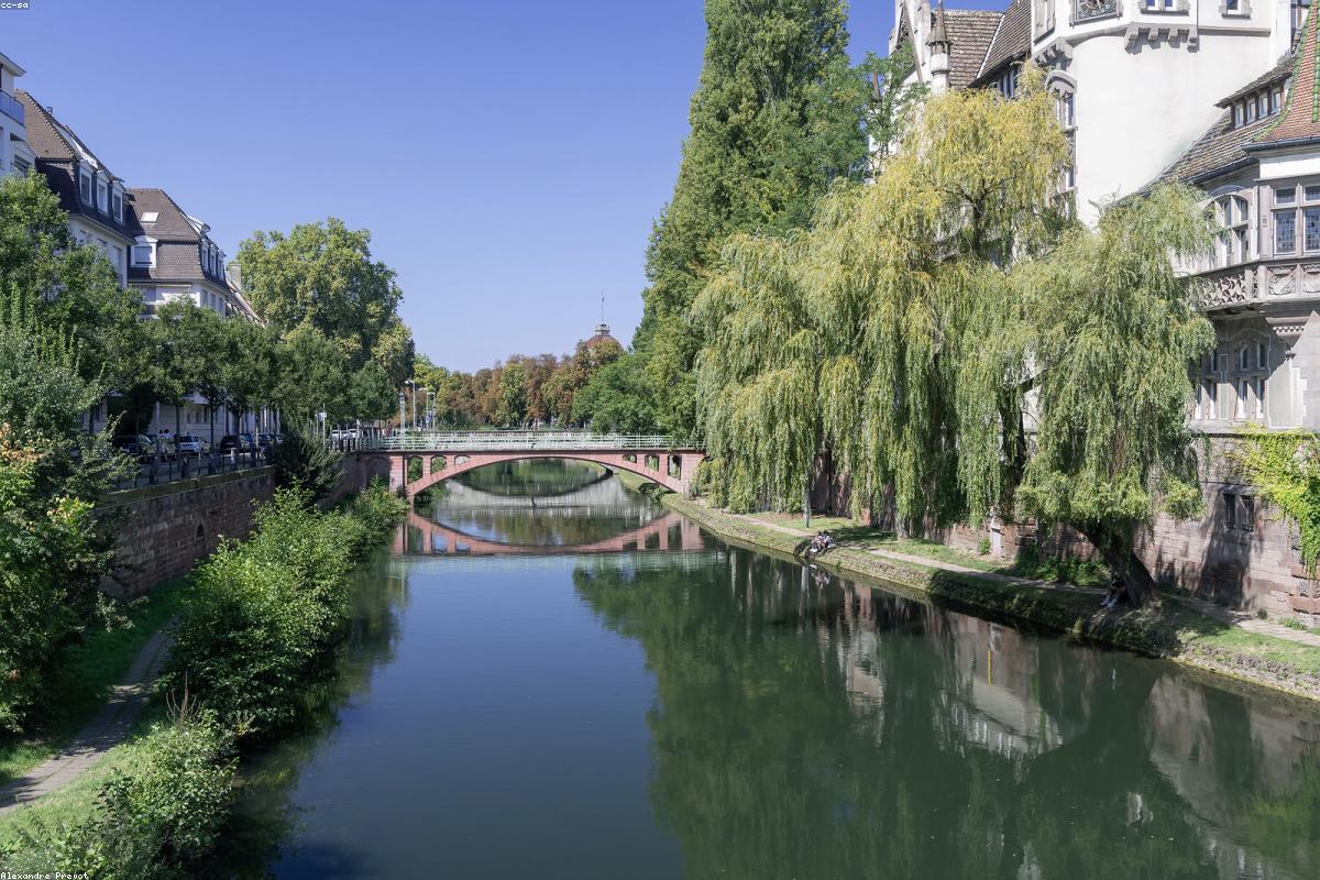 Maisons à colombages colorées se reflétant dans un canal de la Petite Venise à Colmar